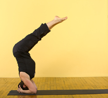 Peg Oliveira Hot Power Vinyasa