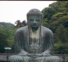Fresh Buddha